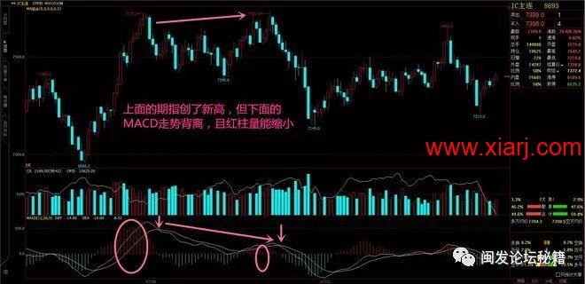 评瑞鹤仙最新成长悟道经验