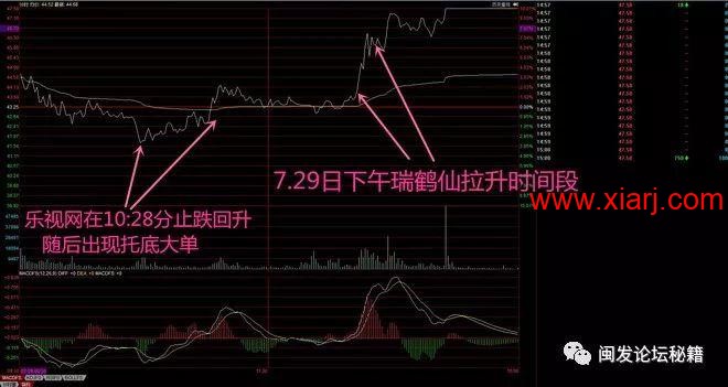 评瑞鹤仙最新成长悟道经验