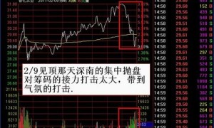 龙飞虎系列之八