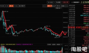 闻少系列12：鉴证···还是不鉴证了 贵操你赢了