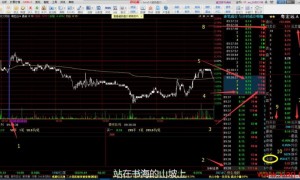 短线高手强势股战法精髓（Asking、龙飞虎、炒股养家、不动明王、职业炒手）