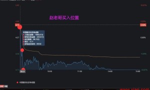 20200507 赵老哥1100万吃了一个跌停