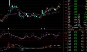 一支稀缺小金属材料股