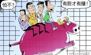 不死鸟韦一隔夜排单与首分歧战法