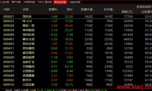 国家队持股SP版面模板