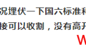20200701 午间策略  关注资金能否回流金融