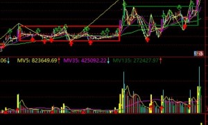通达信多头主力趋势幅图指标