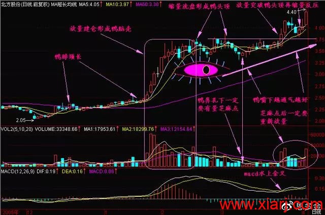 史上最强的—“老鸭头”战法，这一战法是短线翻倍秘籍！很稳！