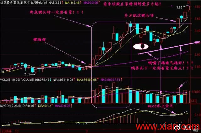 史上最强的—“老鸭头”战法，这一战法是短线翻倍秘籍！很稳！