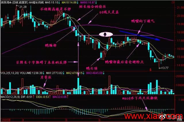 史上最强的—“老鸭头”战法，这一战法是短线翻倍秘籍！很稳！