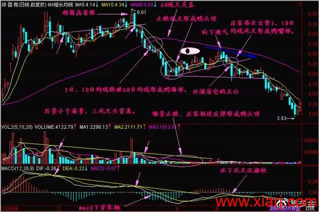 史上最强的—“老鸭头”战法，这一战法是短线翻倍秘籍！很稳！