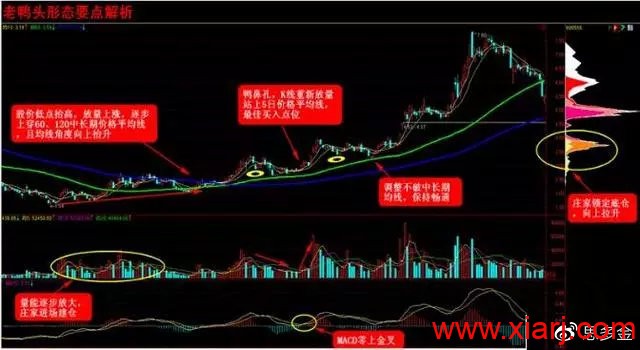 史上最强的—“老鸭头”战法，这一战法是短线翻倍秘籍！很稳！