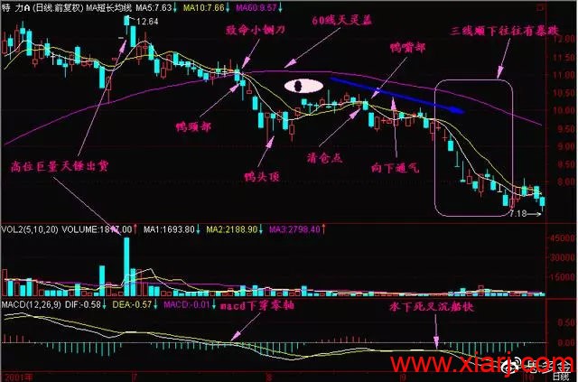 史上最强的—“老鸭头”战法，这一战法是短线翻倍秘籍！很稳！