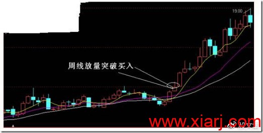 内部培训教材：专做牛股，只做牛股