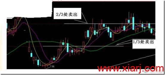 内部培训教材：专做牛股，只做牛股