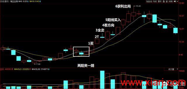 一个亏损股民因谨记这一句话，转亏为盈