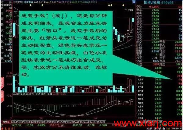 中国真正厉害的只有一种人：盘口暗语大全，日进斗金非难事！