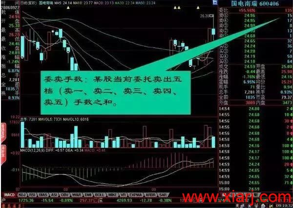 盘口暗语大全,日进斗金非难事! 中国真正厉害的只有一种人:盘口暗语大全,日进斗金非难事!