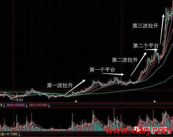 股市高手自曝10年跟庄铁律